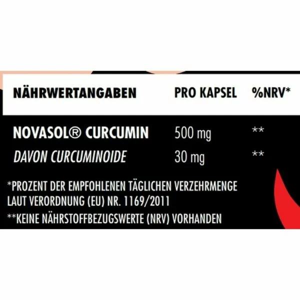 Big Zone NovaSol® Curcumin 90 Liquid Kapseln – Bild 2