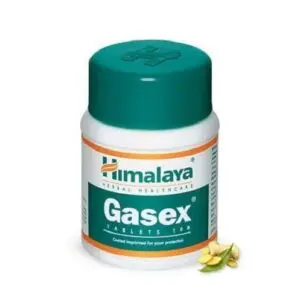 Himalaya Gasex 100 Tabletten