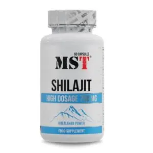 MST - Shilajit 60 Kapseln